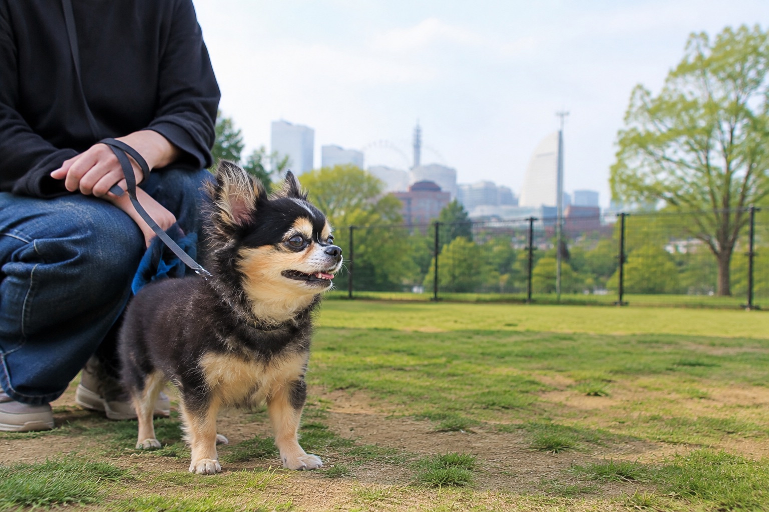 横浜の公園ドッグラン4施設を登録・時間から選ぶ