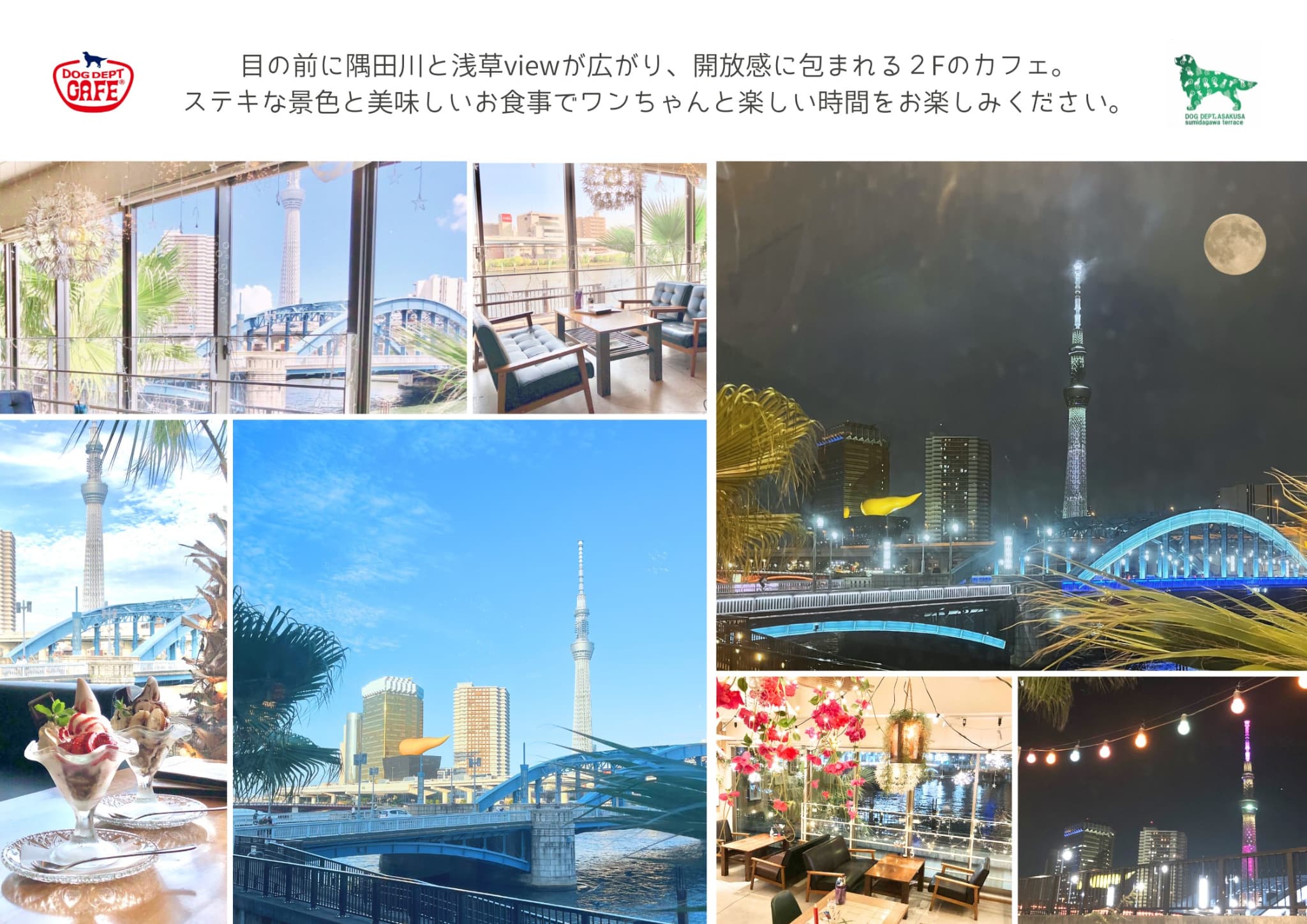 DOG DEPT + CAFE 浅草 隅田川テラス店のカフェ空間