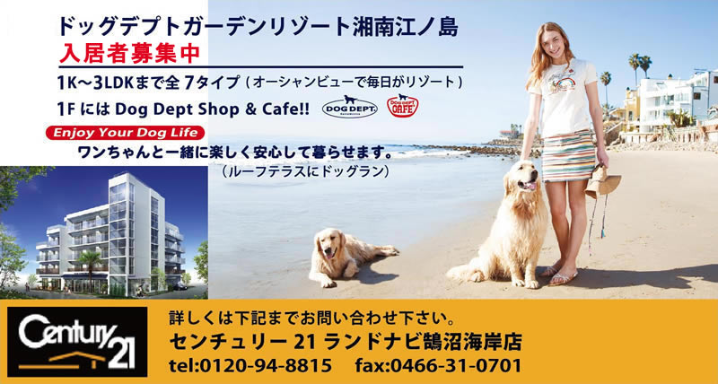 DOG DEPT 湘南江ノ島店カフェの公式写真