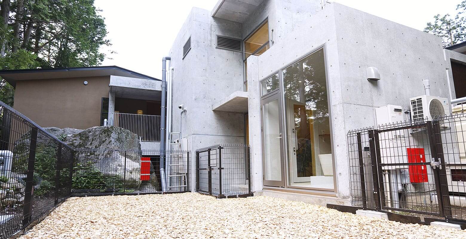 愛犬と遊べるホテルの屋内スペース