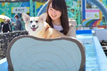 伊豆ぐらんぱる公園