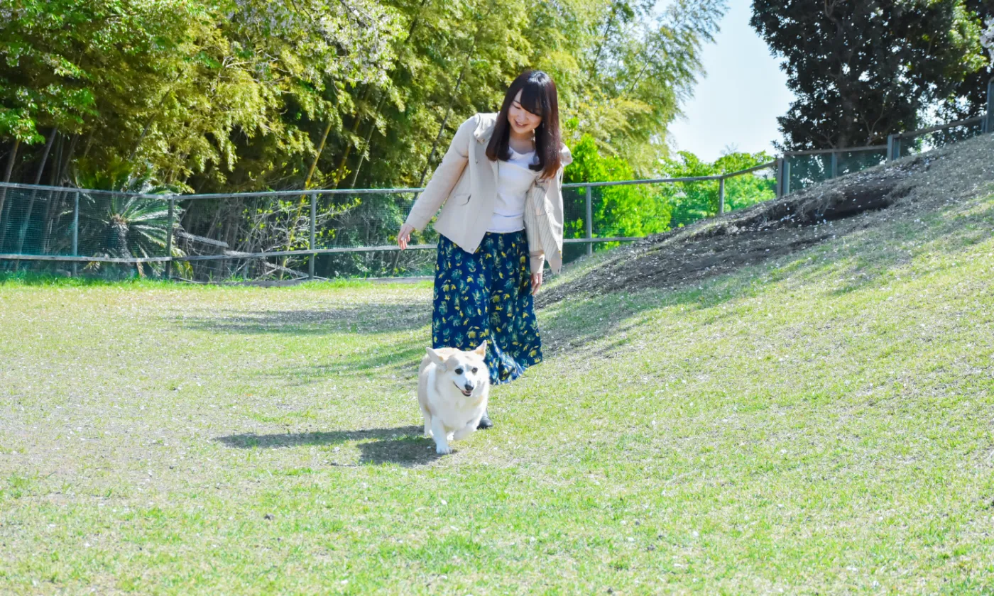 伊豆ぐらんぱる公園のドッグラン公式写真