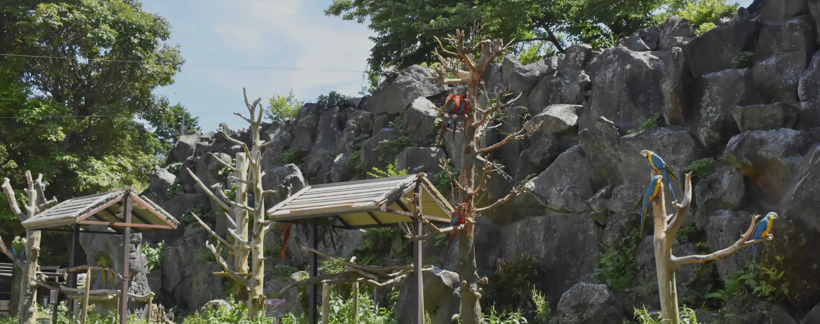 伊豆シャボテン動物公園