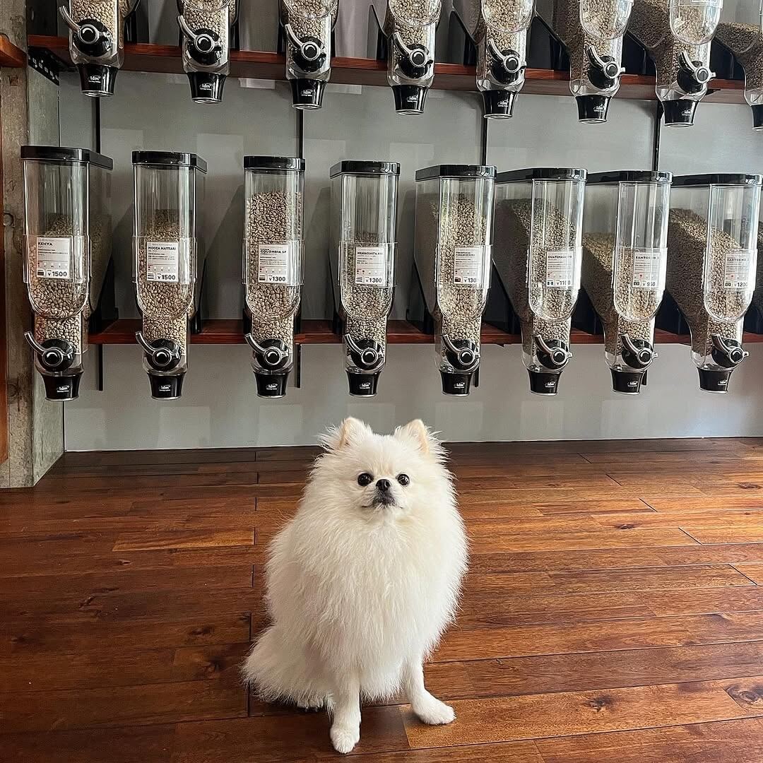 Green Beans Coffeeの施設紹介写真