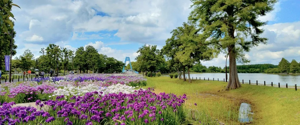 水元公園ドッグラン