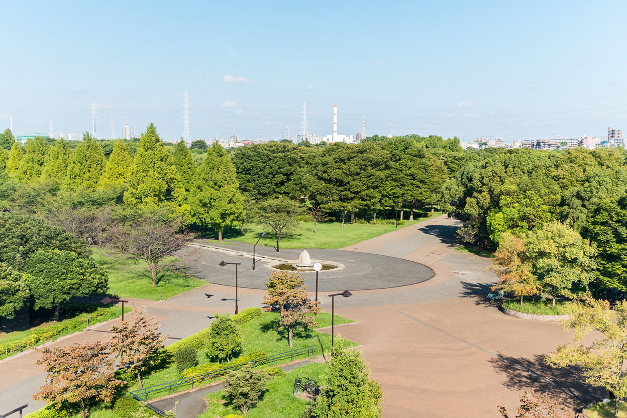 舎人公園ドッグラン