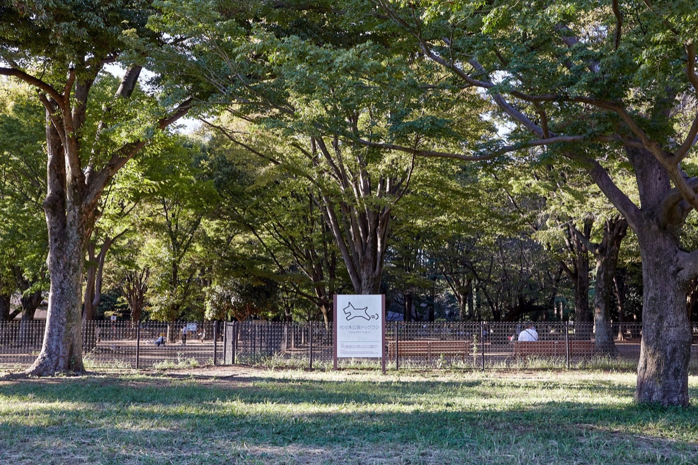 代々木公園ドッグランの施設紹介写真